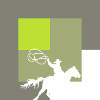 Western Rodeo