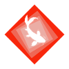 Koi Fish