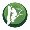 Climbers Tree Climbing Equipment