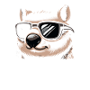 Feeling Wombat-Tastic Today - Funny Wombat
