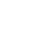 Meticulous