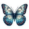 Blue Butterfly - Butterfly