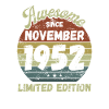 Awesome since November 1952 - Birthday
