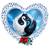 Black Swan and White Swan