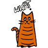 What? Cat question
