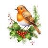 Robin with stinging plane
