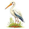 Cigogne
