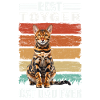 Toyger Dad Cat