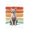 Sphynx Papa Cat