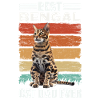 Bengal Papa Chat