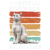 Burmilla Papa Cat