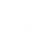 Ramer avec Dragons Dragons Dragonboat