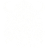 Viking
