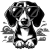 Black and white dachshund