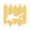 Tauchen Diving
