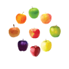 Apple Varieties Different Apples Realistic Apple