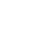 Pirate Skull