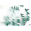 Breath