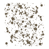 Girls Gone Muddy Mudrun