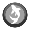 Koi Fish Pond