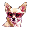 Chihuahua, dog, sunglasses, summer