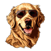Golden Retriever, dog, sunglasses, summer