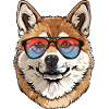 Akita Sunglasses