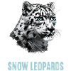 Snow Leopard Schneeleoparden Schneeleopard