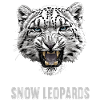 Snow Leopard Schneeleoparden Schneeleopard