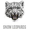 Snow Leopard Schneeleoparden Schneeleopard