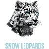 Snow Leopard Schneeleoparden Schneeleopard