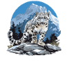 Snow Leopard Schneeleoparden Schneeleopard