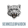 Snow Leopard Schneeleoparden Schneeleopard