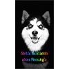 Stolze Besitzerin eines Pomsky`s
