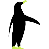 penguin