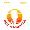 Karaoke Microphone