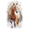 Cheval dans la neige