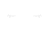 Homeowners Housewarming Party