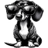 Cute Dachshund Dog