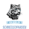 Snow Leopard Schneeleoparden Schneeleopard