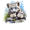 Snow Leopard Schneeleoparden Schneeleopard