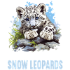 Snow Leopard Schneeleoparden Schneeleopard