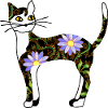 Chat
