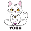 Yoga cat in meditative style