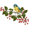 Bunter Vogel