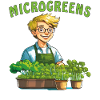 PLANTS MICROGREENS