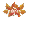 Blatt-Peeper Ahorn-Laub Blatt-Peeping