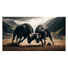 Herens Bulls