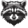 Waschbär