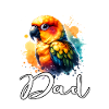 Meilleur Sun Conure Papa